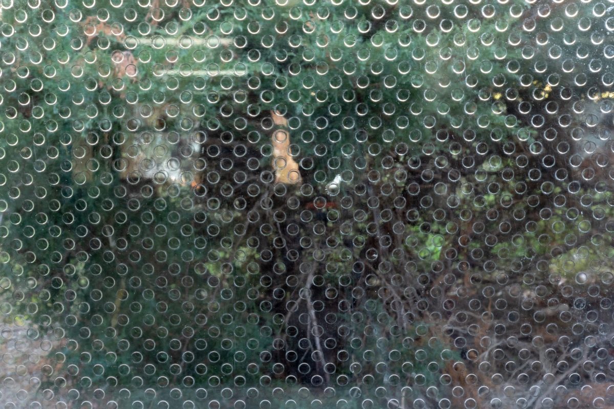 EMB Circle Crystal Clear