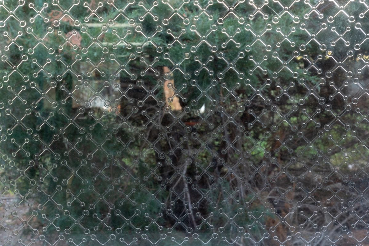 EMB FGS X Crystal Clear